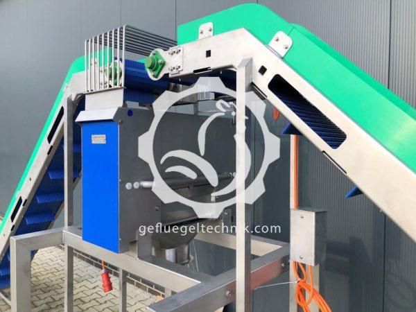 Conveyor belts